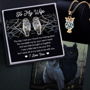 Zircon Owl Necklace - To My Wife - The Day I Met You I Found My Missing Piece - Gncr15001