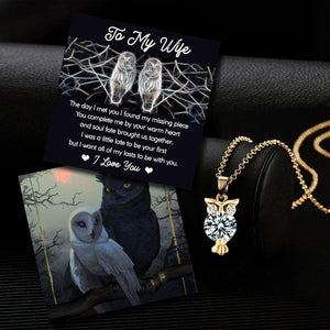 Zircon Owl Necklace - To My Wife - The Day I Met You I Found My Missing Piece - Gncr15001